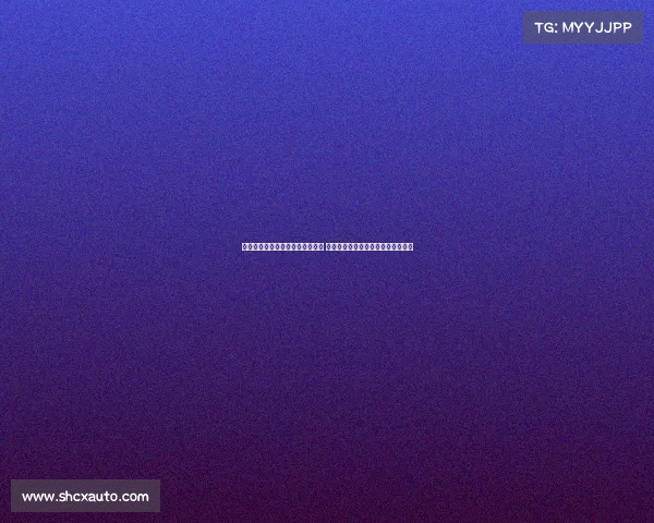 樊振东亮相德国萨尔布吕肯俱乐部 新赛季将参与多项赛事备战再创佳绩