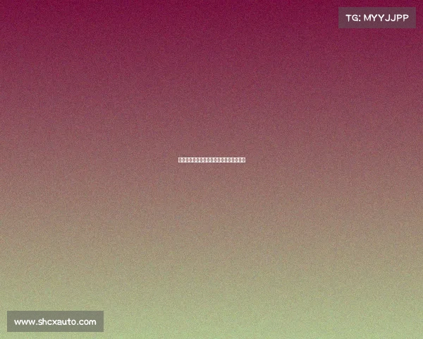 纽卡斯尔联高度关注佳夫表现尚未提出报价